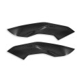 DBK Special Parts (Ducabike) Twill Carbon Fiber Side Panels for BMW S1000R / M1000R (2021+)